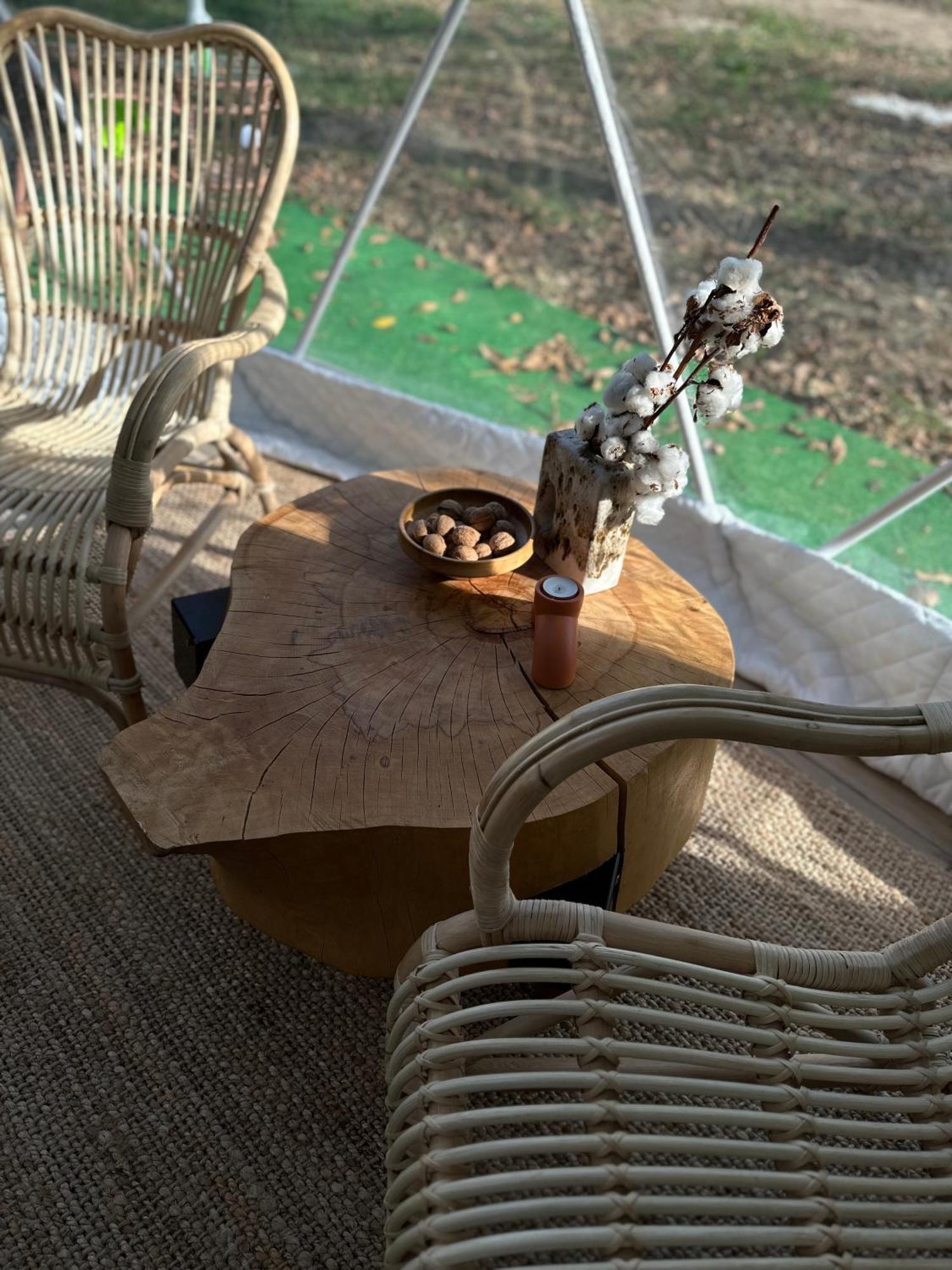 Hotel The Frog Glamping Horezu Exterior foto